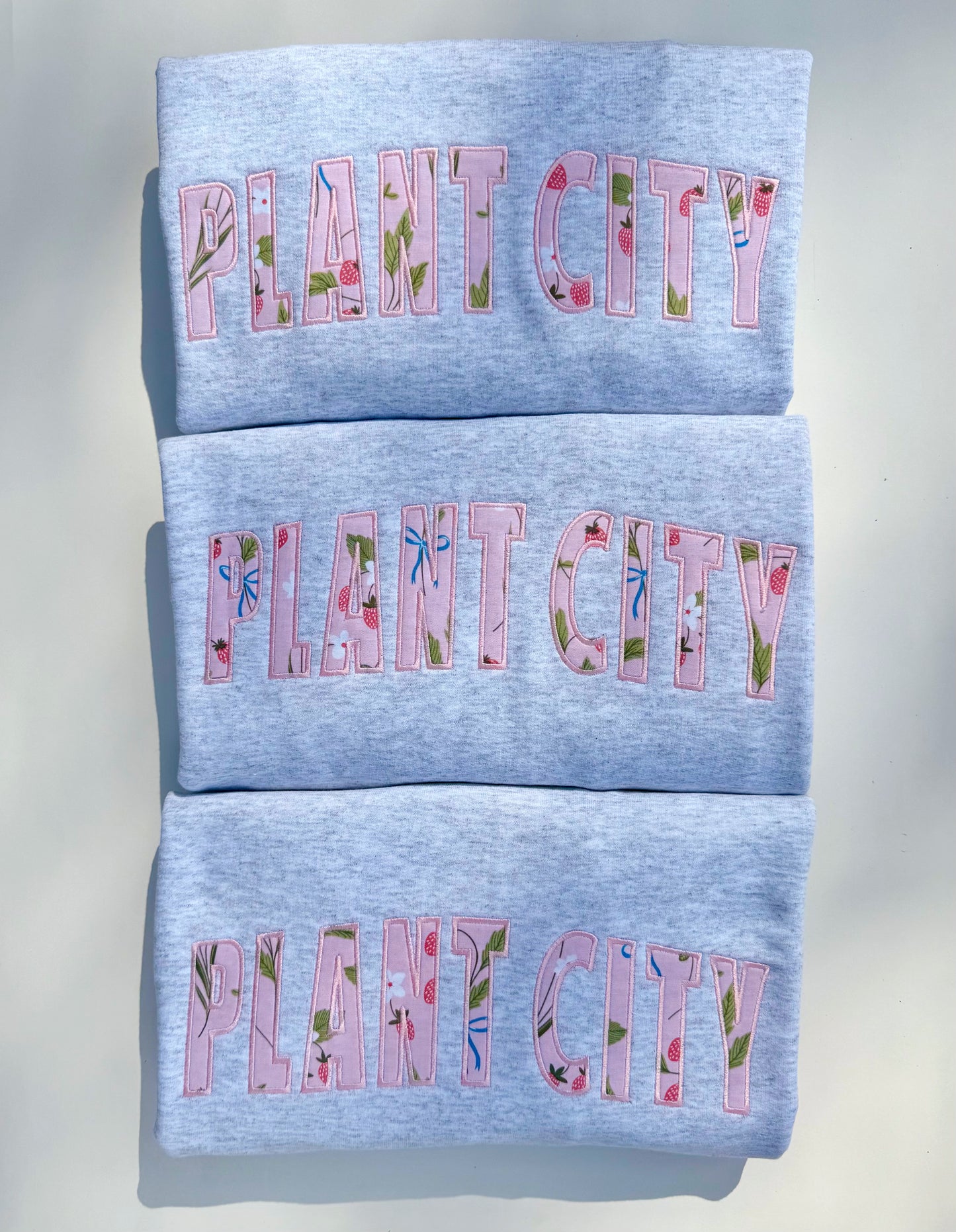Embroidered Plant City Appliqué Sweatshirt